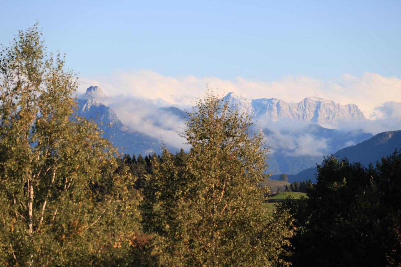 Ferienwohnung Mit Eigenem Garten Und Bergblick ออย มิทเทลเบิร์ก ภายนอก รูปภาพ